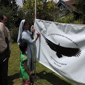 Signature Campaign to Save Vulture